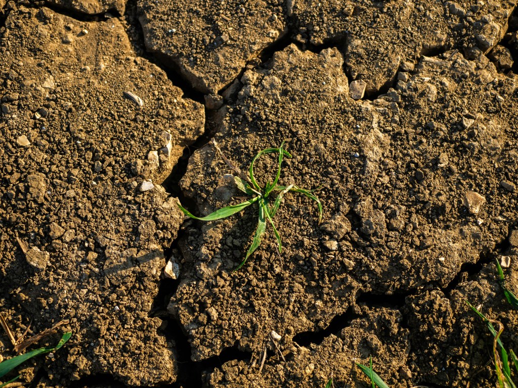 Musings on The years, months, days by Yan Lian&nbsp;Ke