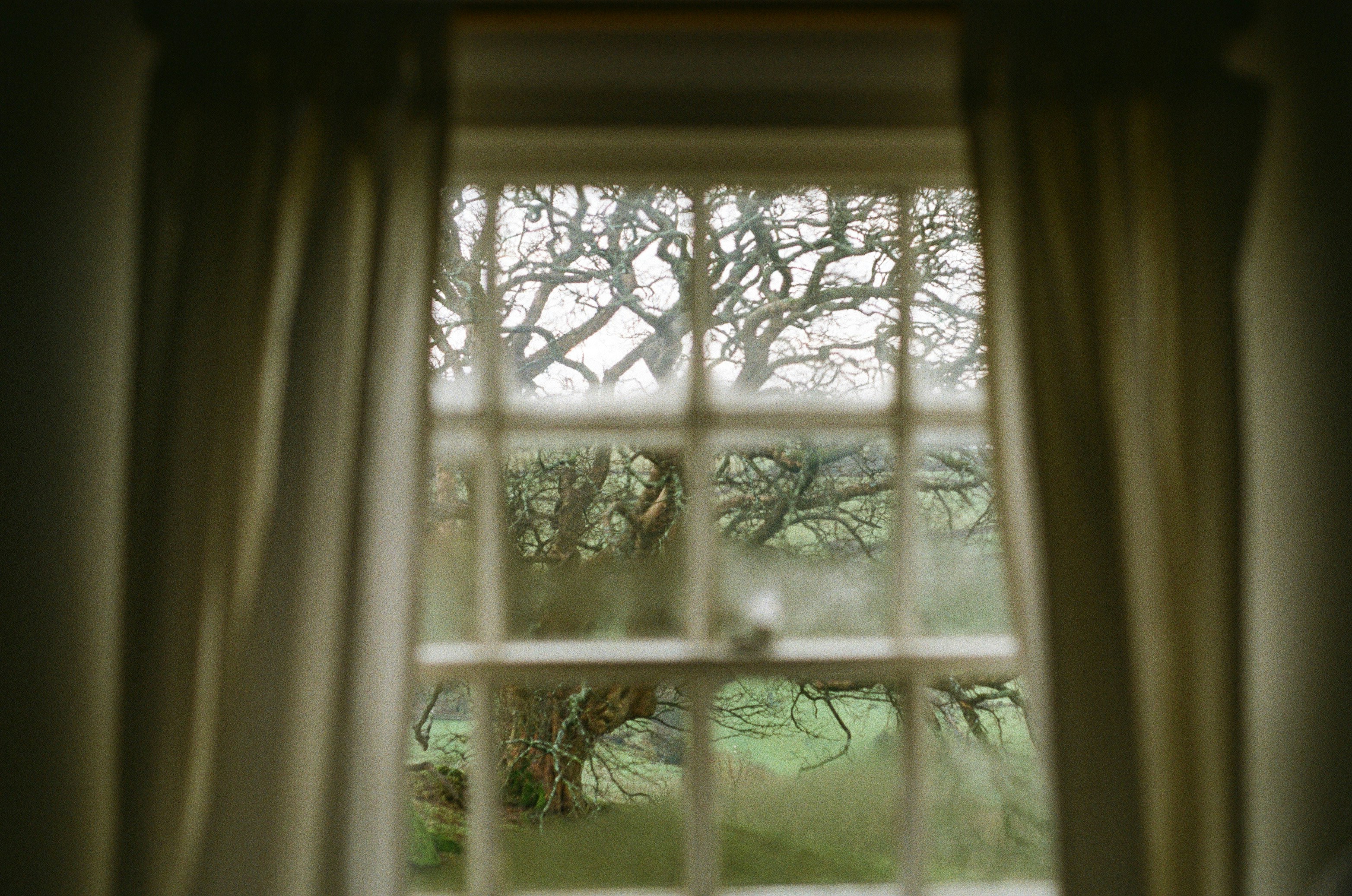 Musings on The Story Collector by Evie Woods