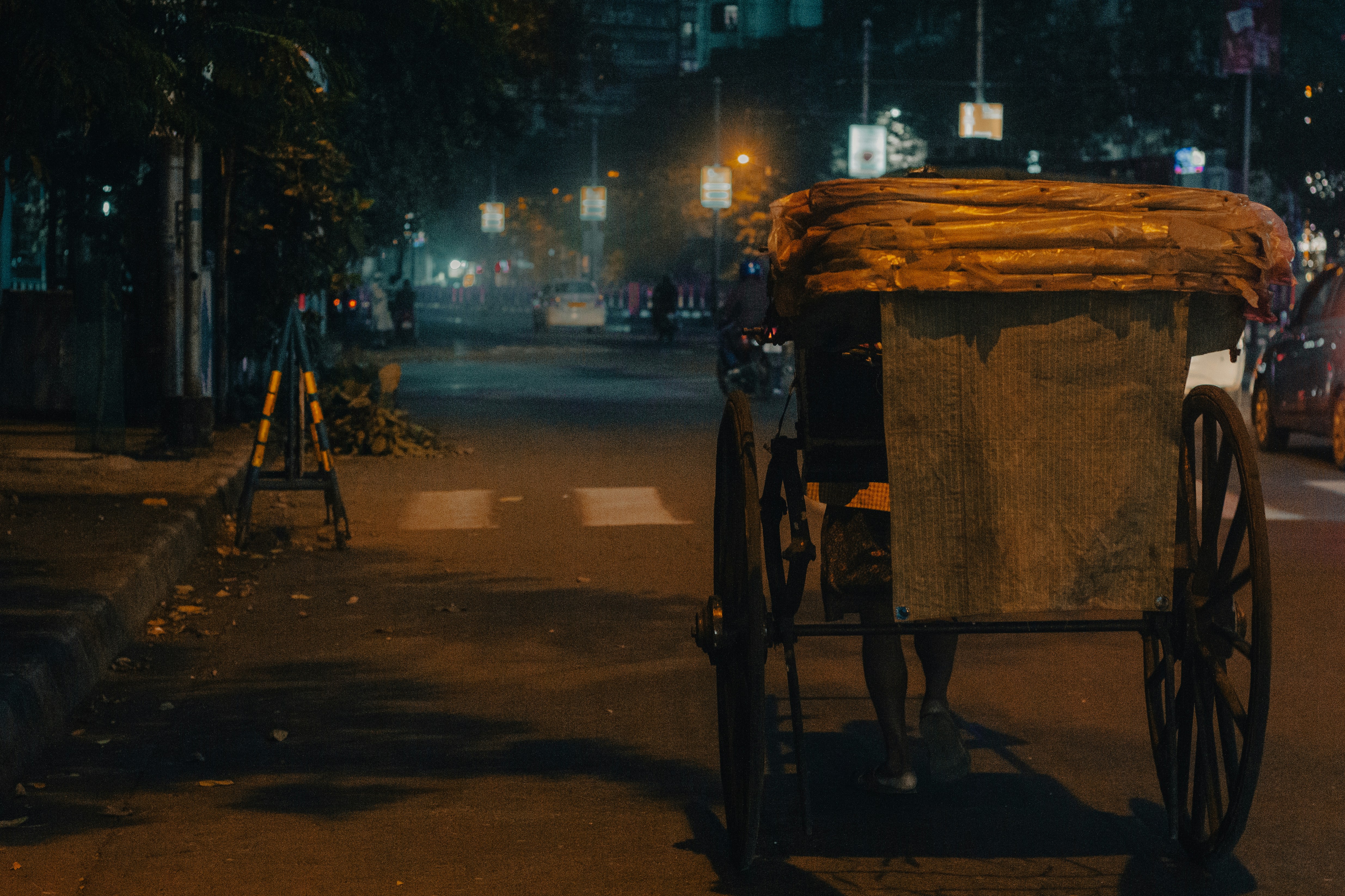Musings on Rickshaw Boy by Lao She