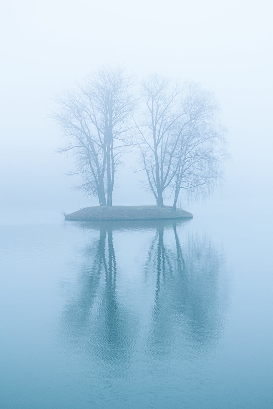 Musings on Greek lessons by Han&nbsp;Kang