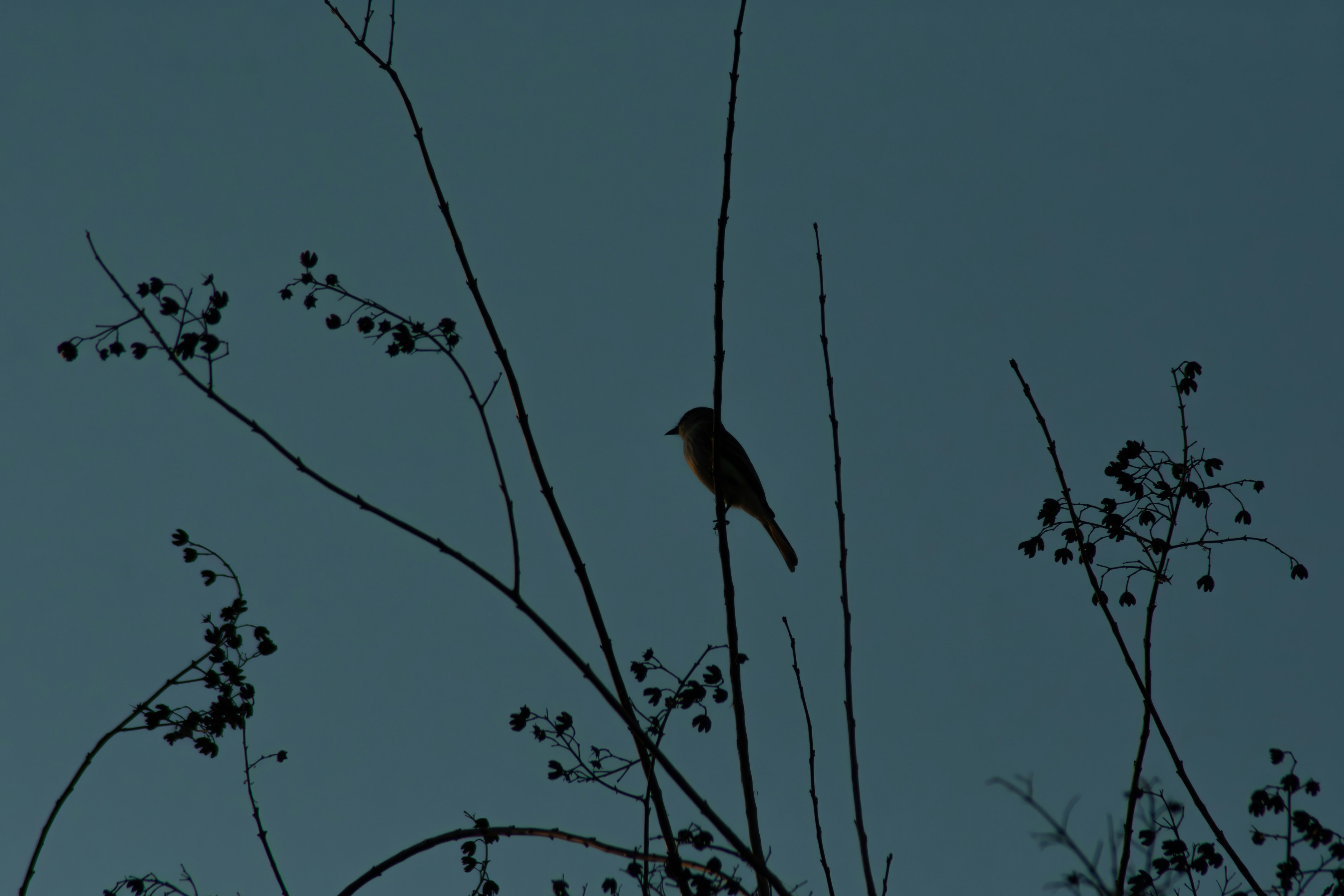 Musings on The nightingale by Kristin Hannah