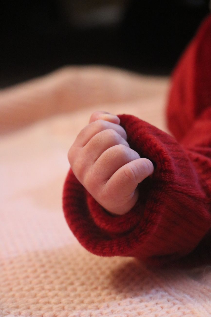 Musings on The Nursery by Szilvia Molnar